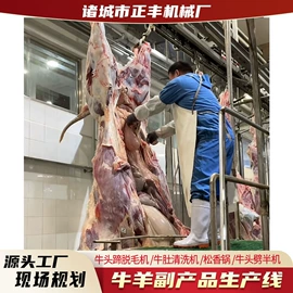肉品加工设备;屠宰初加工;肥料加工设备