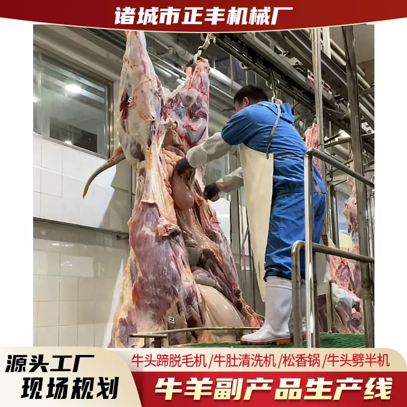 牛副产品加工设备 牛头蹄脱毛机 牛肚清洗机 松香锅 牛头劈半机