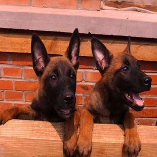 �����r�RȮ��Ȯ���w���l���N���t�RȮ���R�t�R������Ȯ��Ȯ�o�lȮ