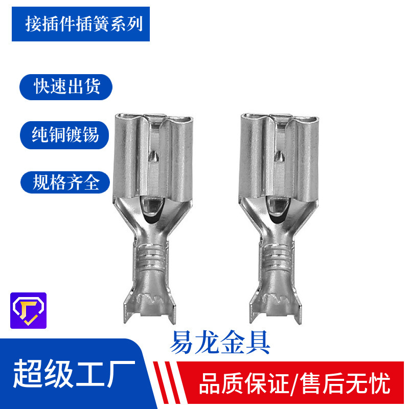 Supply 2.8/4.8/6.3 Plug-in Terminal with Lock and Spring 110 187 250 Plug-in Strip End