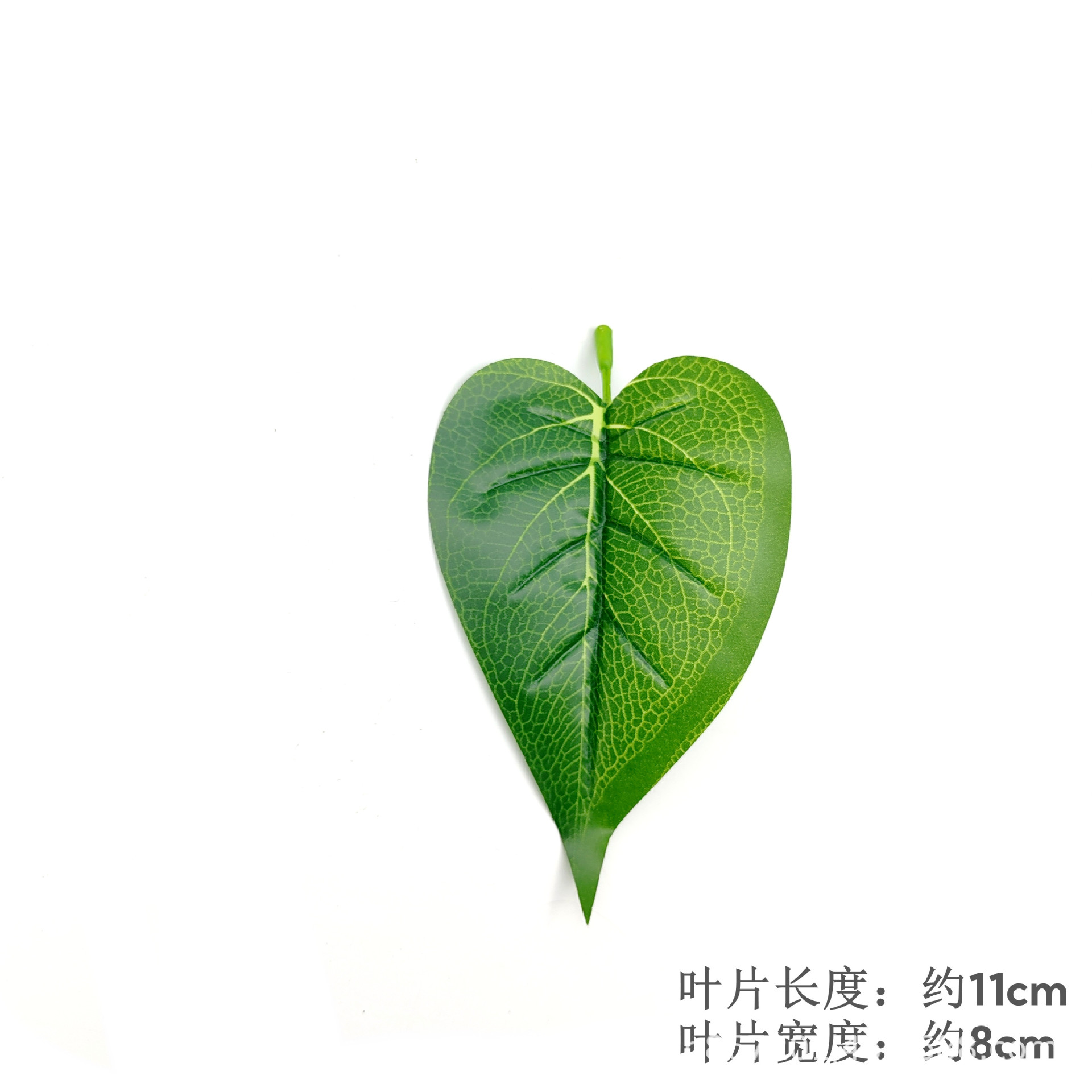 Anthurium leaves - dark color