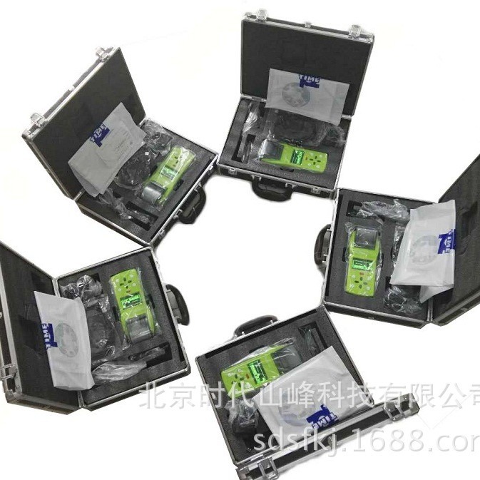 TIME5306 便携式里氏硬度计 符合国标美标自定义材料自校准