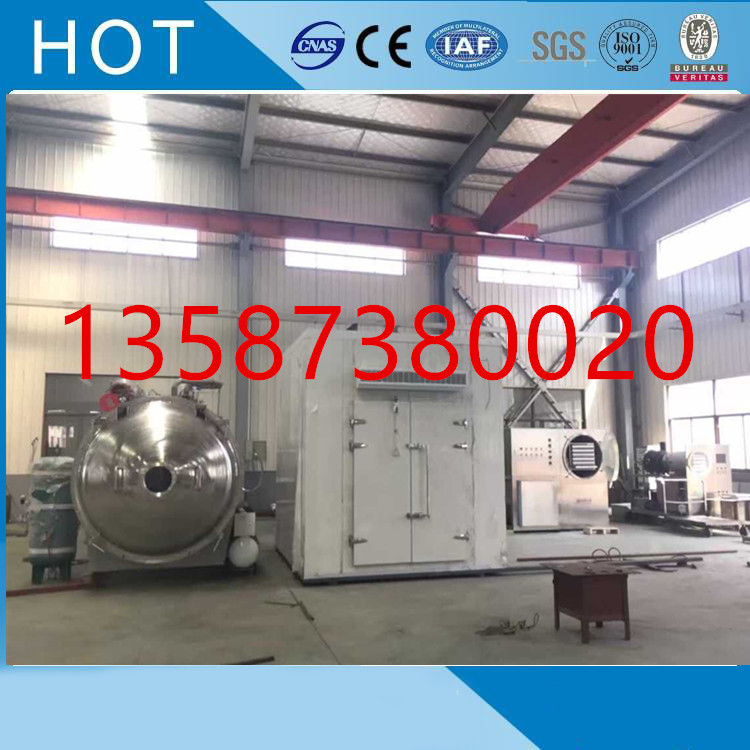 黄花菜真空冷冻干燥机栀子花猴头菇宠物食品去皮银杏柠檬虾冻干机