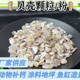 厂家供应鱼缸造景儿童娱乐地评骨料饲料添加水族装饰用贝壳砂
