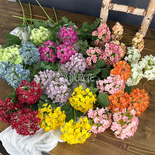 3�^ľ������滨�����Ҿ��b�3�^ѩ������ٻ��羳؛Դ�S�����l