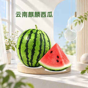 ����������� һ�����l3/5/9��ɳȿ��Ƥ��֭�tȿ�������l���rˮ��