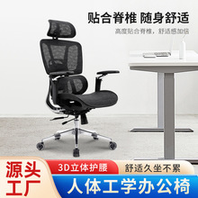 人体工学椅腰部支撑久坐不累电竞椅可坐可躺办公椅午睡舒适电脑椅