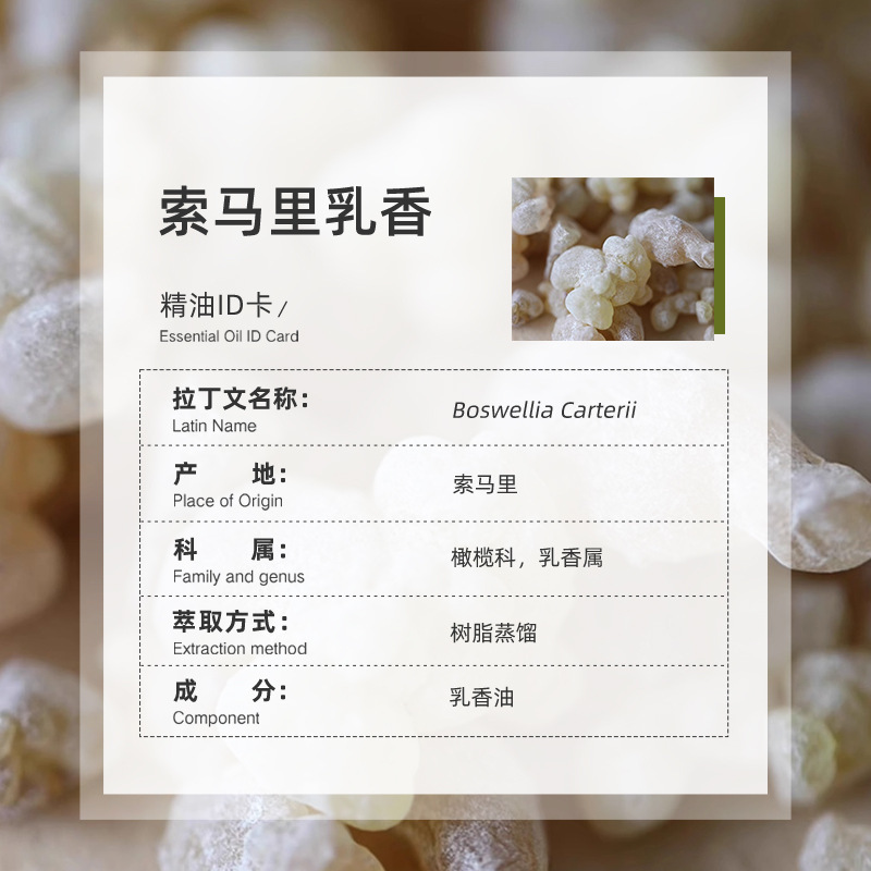 ソマリ産乳香単一精油、純粋蒸留、アロマセラピー、スキンケア原料、卸売乳香精油|undefined