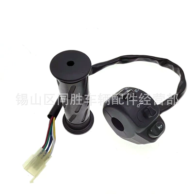 turn throttle original accessories, Other Electric Vehicle Accessories