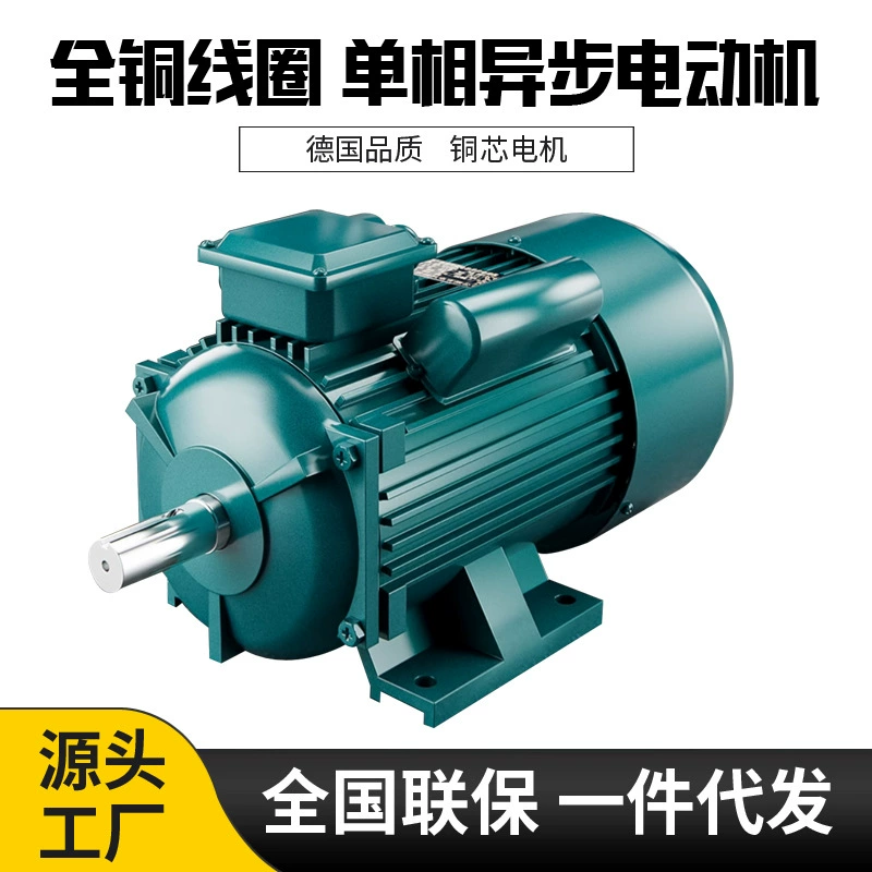 Copper electric mechanical engine by Ta Tiger, 220V