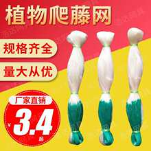 �r��ֲ�����پWɽș���ǽz�ϵ��Ͽ���S�ϰ�������÷Nֲ�������W