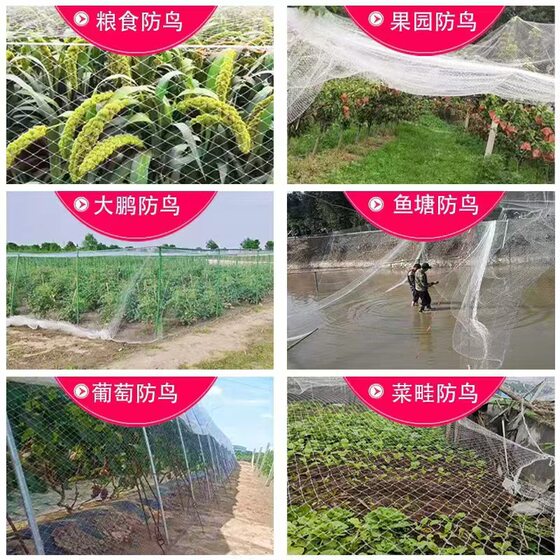 Cross-border source manufacturers directly supply various types of bird-proof nets at airports, bird-blocking nets, fish ponds, orchards, bird-proof nets for planting