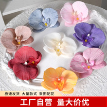 �����m���滨�zƬ�����m���^������滨������^�����DIY����