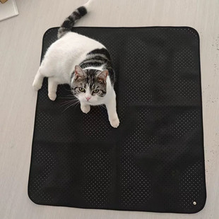 E9X Amazon Yoga Grounding Mat Conductive Breathable Thin Leather Perforated Anti-Static Wear-Resistant Grounding Yoga Mat
