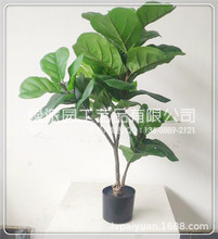 ֱ�N������� ���J���辰�٘� �Ҿ��̈��Ƶ����Ԕ[���S��ֱ�N