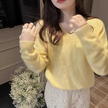 �F/2025�ﶬ�¿��n���|���T��ë��ëv�I����ë��ܛŴ�ٴ�ë�q��