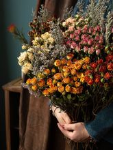 ɻ^õL滨IՏ͹ſ͏db[ŮѶYﻨ