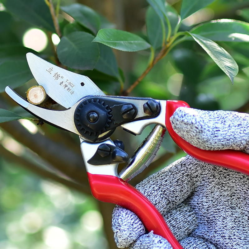 Lijin Taiwán serie de tijeras de ramas de jardín, tijeras de poda de plántulas de frutas, tijeras de jardinería de ahorro de mano de obra, tijeras de flores T902