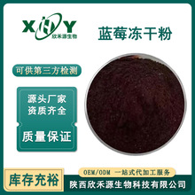 蓝莓冻干粉99%FD蓝莓粉 食品级 蓝莓花青素 低温冷冻 冻干蓝莓粉