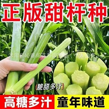 �N�Ӷ�֭�N��ˮ���N��������������̸�����U�߸����N���Ƕ���