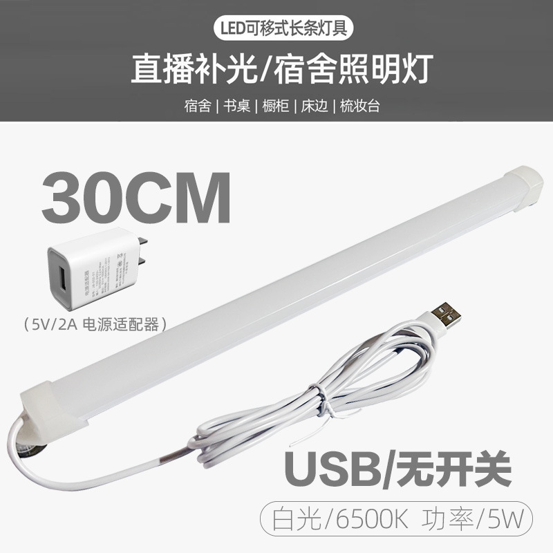 30cm/스위치 없음/백색광+플러그(높이)