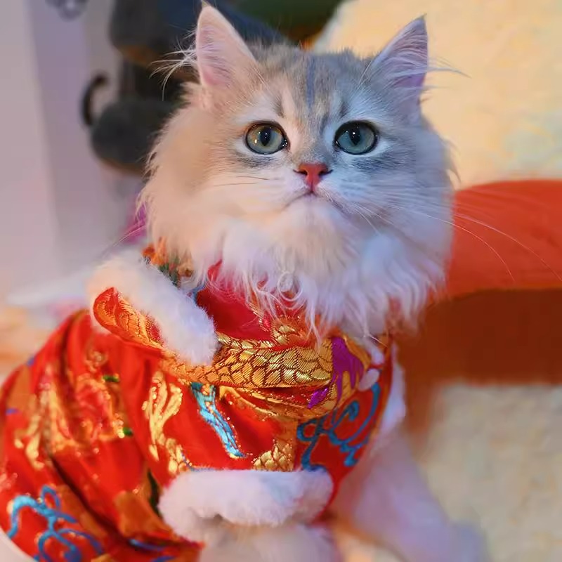 Ropa de Año Nuevo para gatos en invierno engrosado vestido de China mascota gatito gato muñecas de otoño y invierno gato azul camisa de Año Nuevo