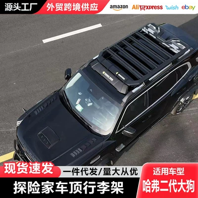 Haval Dargo Ii Roof: Roof rack