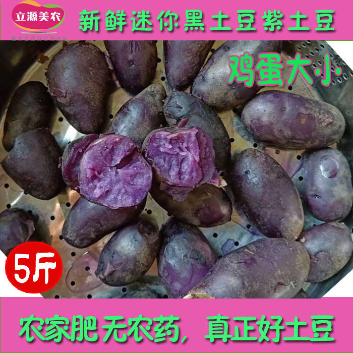 新鲜迷你黑土豆紫土豆彩色马铃薯宝宝辅食可做种子三斤五斤包邮