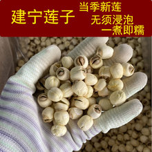 ��ș��ɏ�ӽ�����ɏ�Ӹ�؛�ֹ�ȥƤ��؛�o��ɏ������ɏ�Ӱٺ���ˮ