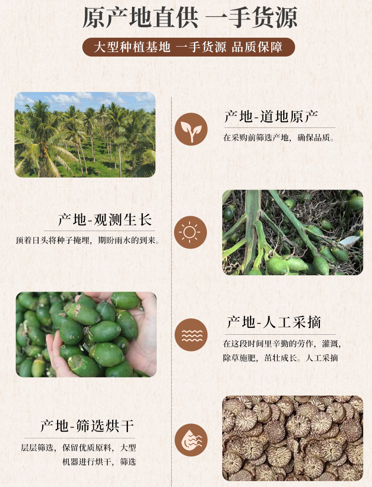 Dried Betel Nut Slices Bing Lang 500g Whole Areca Nuts for Traditional Herbal Use quality and texture