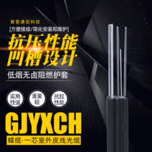 2芯室内外自承式引入光缆光纤蝶缆GJYXCH室外皮线光缆G657A1