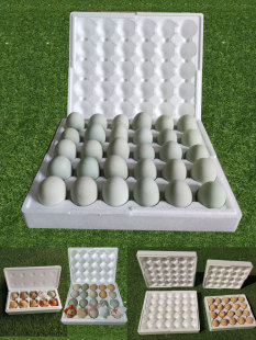 ����Ƥ����ĭ�� ׃����ĭ���ɻ�����ĭ��30öƤ����ĭ���b��ĭ��