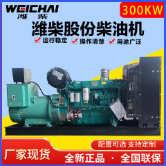 ディーゼル発電ユニット维柴300キロワット発電ユニット工事現場トンネル病院学校全自動発電機