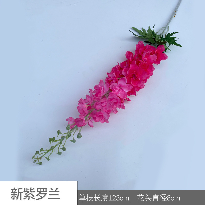 뉴 바이올렛 JLK 로즈 레드