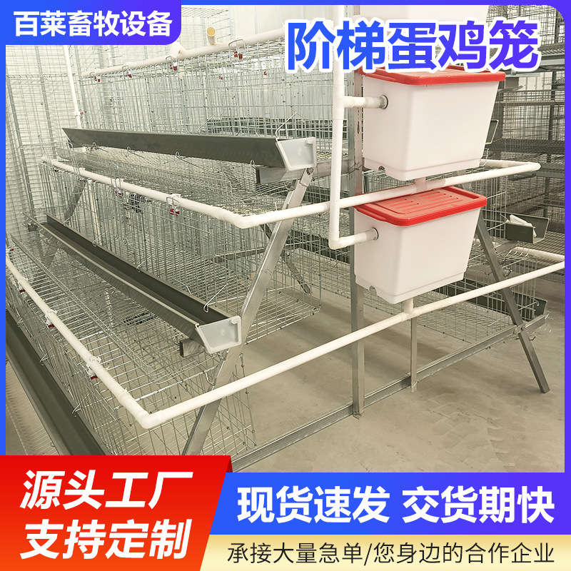 养殖场蛋鸡笼三层四门阶梯式蛋鸡笼 阶梯式笼养鸡设备