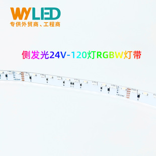 24V�Ȱl��RGBWܛ�􎧸߹�Ч�ȏ����lDMX512