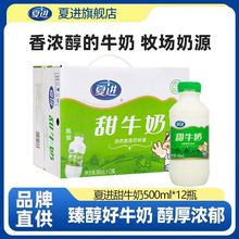 新日期夏进甜牛奶500ml*12瓶 大瓶装 口感微甜醇香浓郁整箱