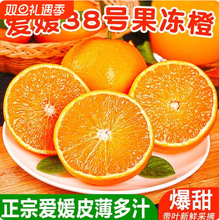 四川爱媛果冻橙当季鲜果5斤酸甜可口一级浅橙黄色橙子家庭实惠装