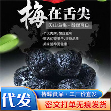 ���l��÷��ɢ�b���w��÷�������T����������ș�ķǟ�Ѭ��÷��ԭ��