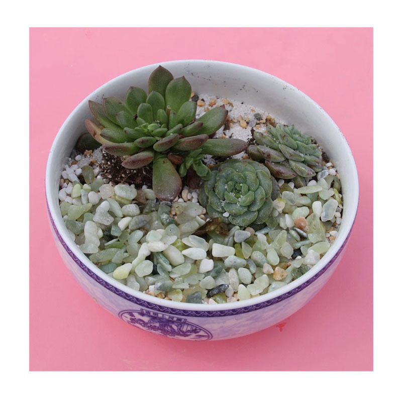 ʽͥԺԭʯ | ҵ̲绯 | ɽˮʯ/ʯ