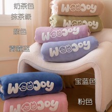 外贸高品牛奶绒四件套纯色简约加厚秋冬套件毛巾绣被套代发批发