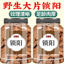 iș500gƷٷŞҰiƬiƬɐ޽