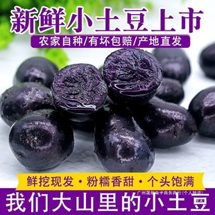 �ຣ�خa���r�������ڽ�����ɫ���R��������С��������������