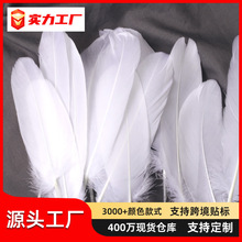 羽毛厂家批发 贝衣毛鹅毛幼儿园早教工艺品diy饰品手工装饰材料