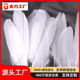 羽毛厂家批发 贝衣毛鹅毛幼儿园早教工艺品diy饰品手工装饰材料