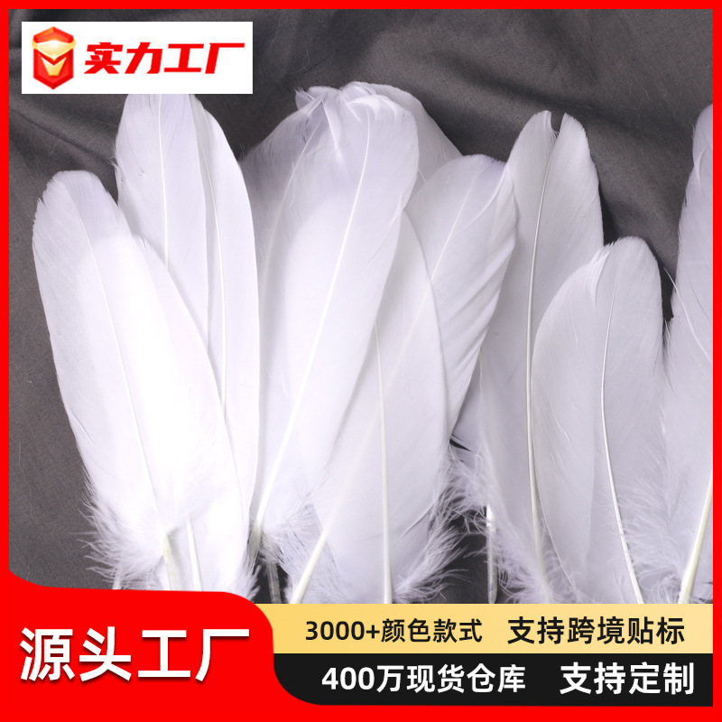 Feather factory wholesale shellfish feather goose feather kindergarten early education crafts diy jewelry handmade decoration materials Feather factory wholesale shellfish feather goose feather kindergarten early education crafts diy jewelry handmade decoration materials