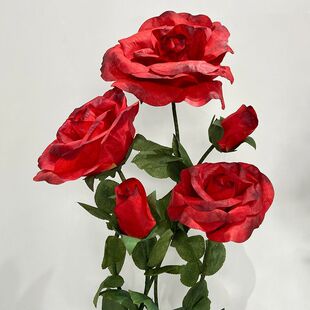 õ�廨�bՇ��Y��F������1��ֱ������õ������m�ìF؛����