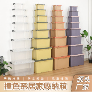 �ռ{�����ώ��w����̖�Ӻ��·������������߃�����������ռ{��