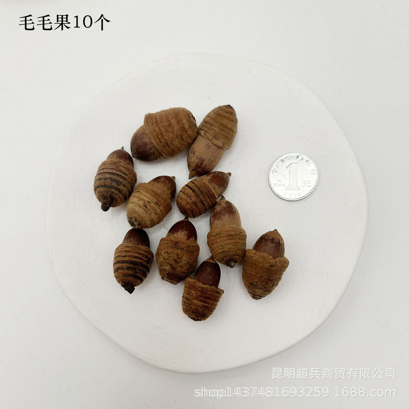 【各种果实类干花】圣诞果实类装饰品干花干果香薰蜡烛DIY橡果精|undefined
