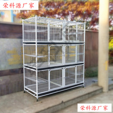 ؈��ֳ�\؈����B���\�ӷ���չʾ���ӌ�ľ�������ӻ\؈�\��չʾ��